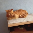 2b75441b32c2604d97867ed90ece9bb9_0_070240