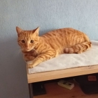 96cf0cae3d6384010e22e84d10cf85d2_0_070237