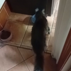 72db348d2afda246e4dc1613718dc025_0_070236