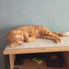 _data_user_0_video.like_files_effectone_cache_vesdk_1747555490324_eo_1747555534095.png_070208