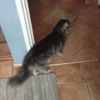 _data_user_0_video.like_files_effectone_cache_vesdk_1747555490324_eo_1747555572186.png_070151