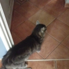 _data_user_0_video.like_files_effectone_cache_vesdk_1747555490324_eo_1747555575538.png_070149