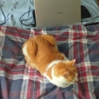 _data_user_0_video.like_files_effectone_cache_vesdk_1747555490324_eo_1747555585611.png_070144