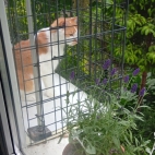 _data_user_0_video.like_files_effectone_cache_vesdk_1747555699722_eo_1747555706298.png_070135