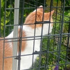 _data_user_0_video.like_files_effectone_cache_vesdk_1747555699722_eo_1747555714427.png_070129