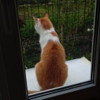 _data_user_0_video.like_files_effectone_cache_vesdk_1747555699722_eo_1747555729464.png_070123