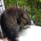 _data_user_0_video.like_files_effectone_cache_vesdk_1747555699722_eo_1747555738442.png_070115