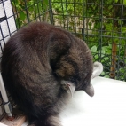 _data_user_0_video.like_files_effectone_cache_vesdk_1747555699722_eo_1747555739236.png_070112