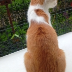 _data_user_0_video.like_files_effectone_cache_vesdk_1747555699722_eo_1747555742137.png_070109