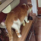 _data_user_0_video.like_files_effectone_cache_vesdk_1747555699722_eo_1747555753781.png_070107