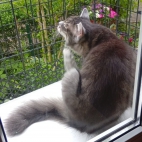 _data_user_0_video.like_files_effectone_cache_vesdk_1747555699722_eo_1747555758578.png_070104