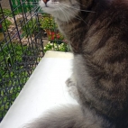 _data_user_0_video.like_files_effectone_cache_vesdk_1747555699722_eo_1747555763756.png_070101