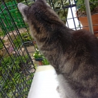 _data_user_0_video.like_files_effectone_cache_vesdk_1747555699722_eo_1747555766627.png_070058