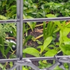 _data_user_0_video.like_files_effectone_cache_vesdk_1747555699722_eo_1747555792405.png_070044