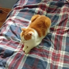 3364fb5a2673314981641e227e07f301_0_070040