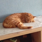 267975de7ed856ecb81f0cd487f36be1_0_070036