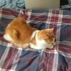 626a36d5b8de922a5e42ff148eca5dd0_0_070034