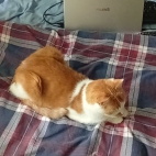 8b5d905083b7252ef5d5451c1613ce4a_0_070033