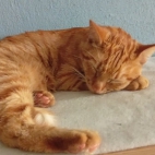 d345bf23e3041dd6c0de984acfd42896_0_070030