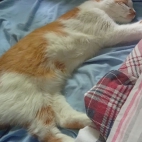 b75c11735425ebfb568230cfbaf26bc9_0_070019