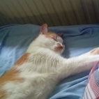 c4d9890a4816b5e1057145260e9a9700_0_070018