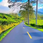 53b9ee70bda91fcc0e2b71768d145a37_0_070007