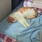 a1682fb781f09cad5406f127da10b1a0_0_070004