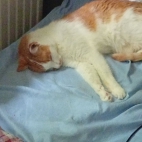 593622e0ac7f6034b4e5b71f6a0630bc_0_070002