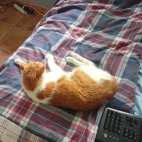 733cd527c2802bb6bdf8c773ed747a36_0_065956