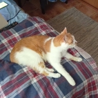 f91a87e16b2cd05e07d42f200b10c676_0_065952