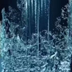 1308bc117619edb10a0896f367e911c7_0_065950