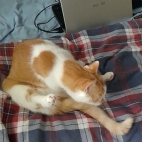 d3cd630d6cacc7b13827866fa4b4714b_0