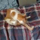 b64fef23527b81039db0c1bdb87dbd8f_0