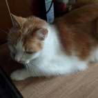 c0eb1fb65ca29d7c6c1b62e2483abc71_0