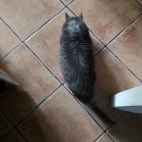 1838838c1f8af06bea8eca72e07531de_0