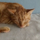 3f8cee25bcd6e51168e870713656a50d_0