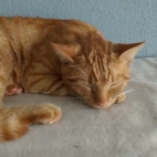 78f2c69dcab3c556e48465b987ee5bd0_0