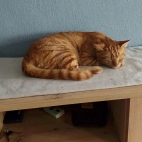 c696640d77c8631ef37ac4e2000f0f17_0