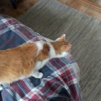 9404c298d065d1e38a9a457ba6c7e1ad_0