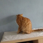 04e1887801b6bd825d338f738ec0097d_0