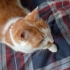 672110914105efd24c86a7e122453c88_0