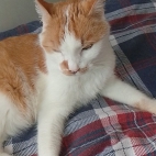 23e3df870005dbbfb479a0746d7225e9_0