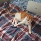 7c148f631dcd6bc5881cc0b0274ad8ba_0