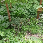 a7e095184149e403da9e5d73e75854e7_0