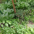 12bb7e3418f5e32ecbdf0063e01fe7c5_0