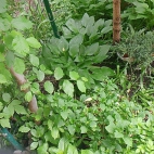 1ba089d6b6b99c6451a73df2343a069a_0