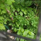 d514c2a983a5b8b0ff05c3c9047d0676_0