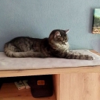 afb6a3b6135ca9a6e9760e7ce646278f_0