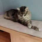 61e5fc28fd140faa4f6a5b1f915755c4_0