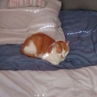 a3adb32bb005f8ac424c3c1dbbe39626_0